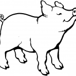 Świnka wyczuwa jakiś zapach