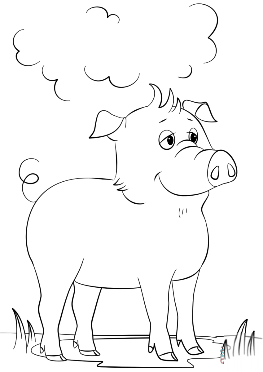 Cute Cartoon Pig