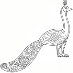 Celtic Peacock Design