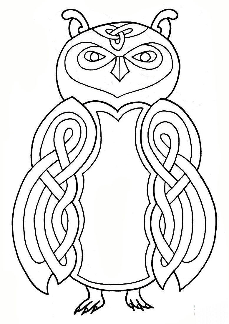 Celtic Owl Design