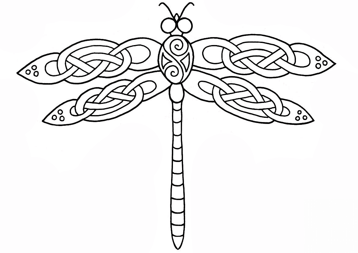 Celtic Dragonfly Design
