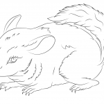 Urocza szynszyla mała