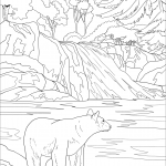 Park Narodowy Great Smoky Mountains