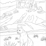 Park Narodowy Big Bend