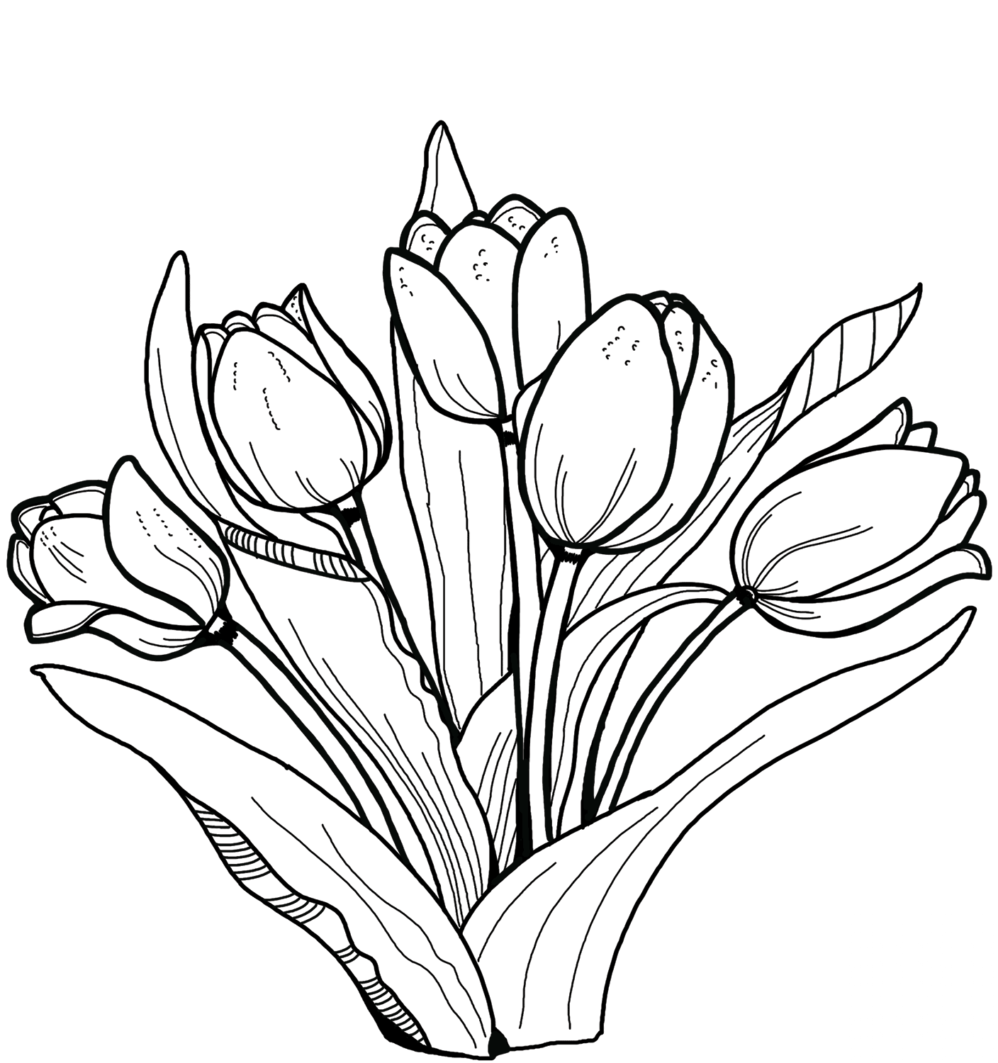 Tulipany