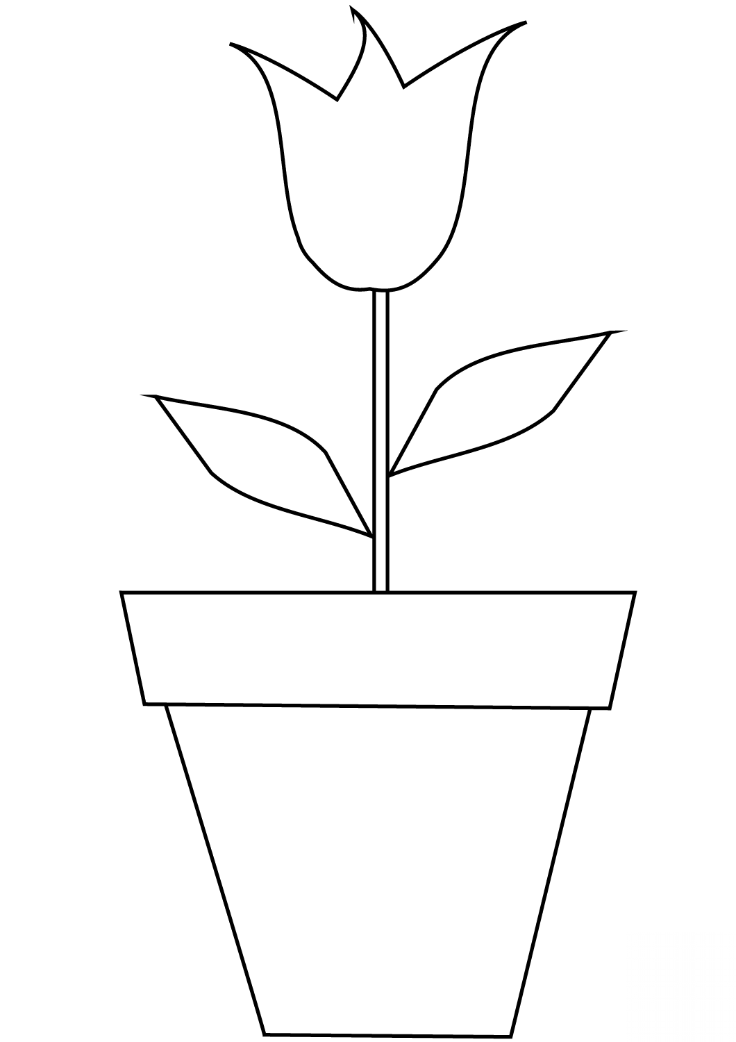 Tulip in a Pot
