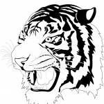 Tiger Head
