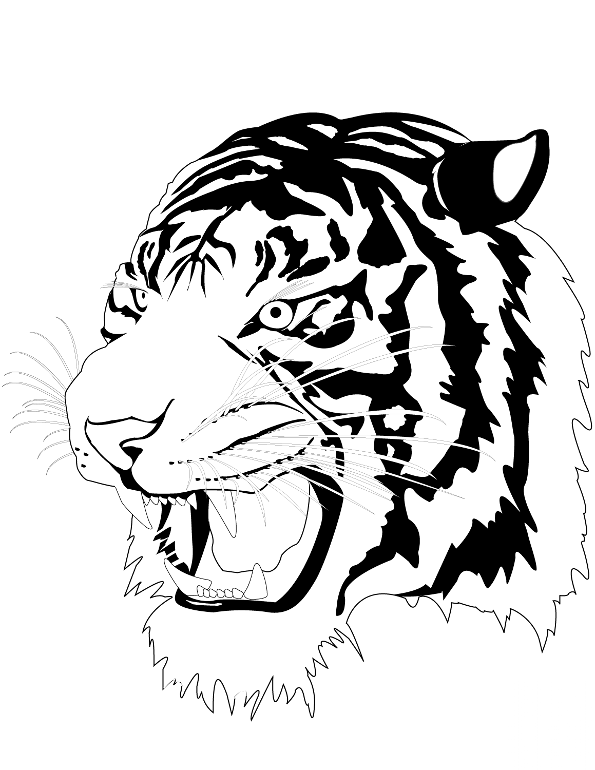 Tiger Head
