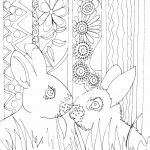 Rabbits Couple