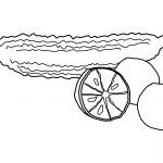 Przepękla ogórkowata