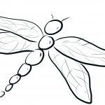 Ważka - owad drapieżny