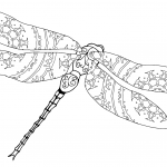 Intricate Dragonfly