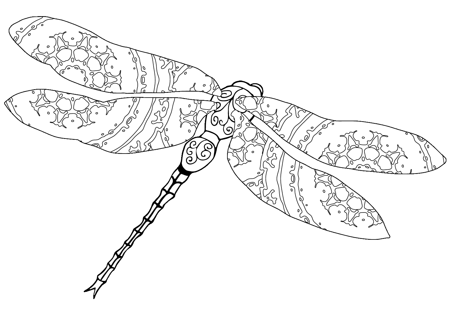 Intricate Dragonfly