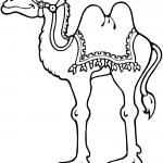 Camel Standing