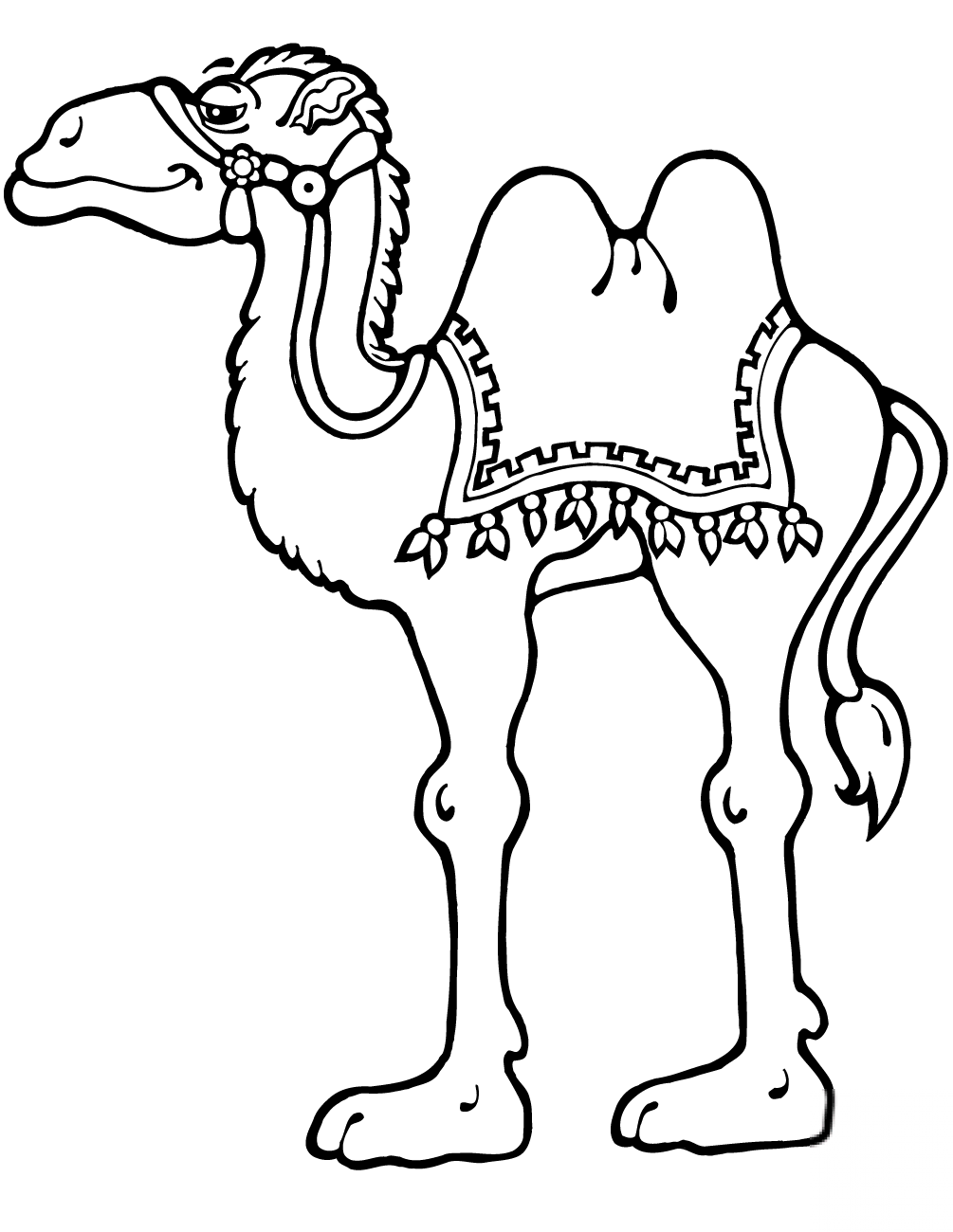 Camel Standing