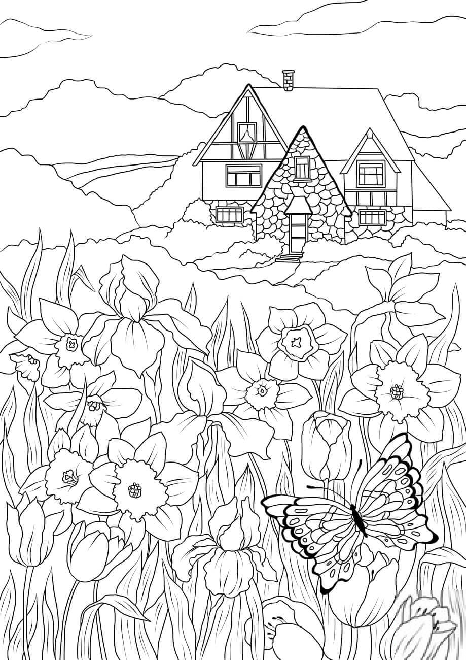 Spring, Flowers, Butterfly and...