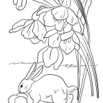 Easter Bunny Found Some Eggs