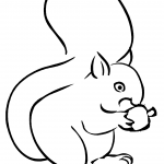 Squirrel Eating Acorn
