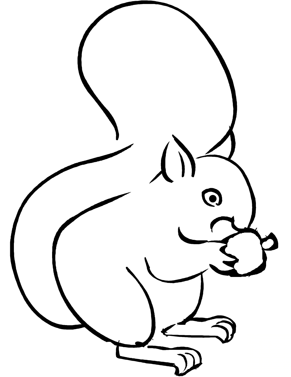 Squirrel Eating Acorn