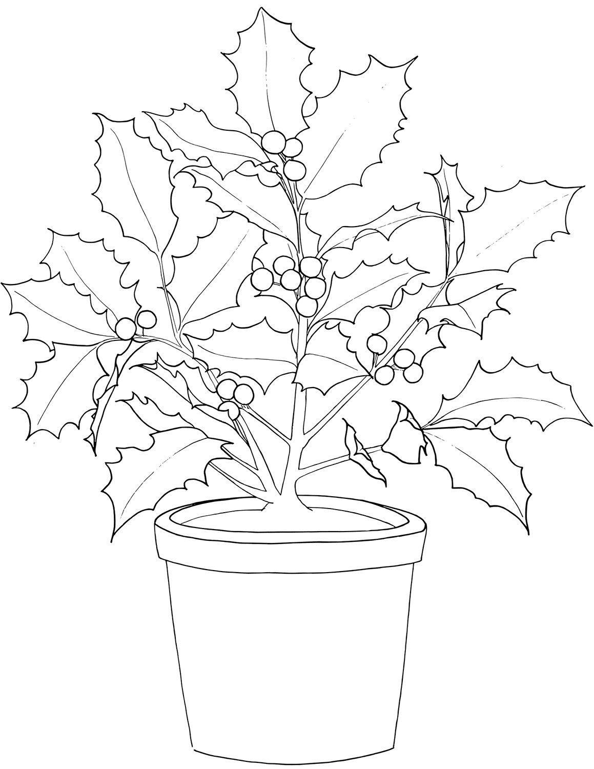 kolorowanka Wilczomlecz nadobny