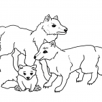 Wolves Familiy