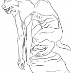 Werewolf Sitting on a Stone