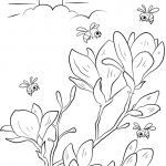 Spring Flowering Branches