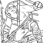 Leonardo from Teenage Mutant Ninja...