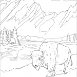 Park Narodowy Grand Teton