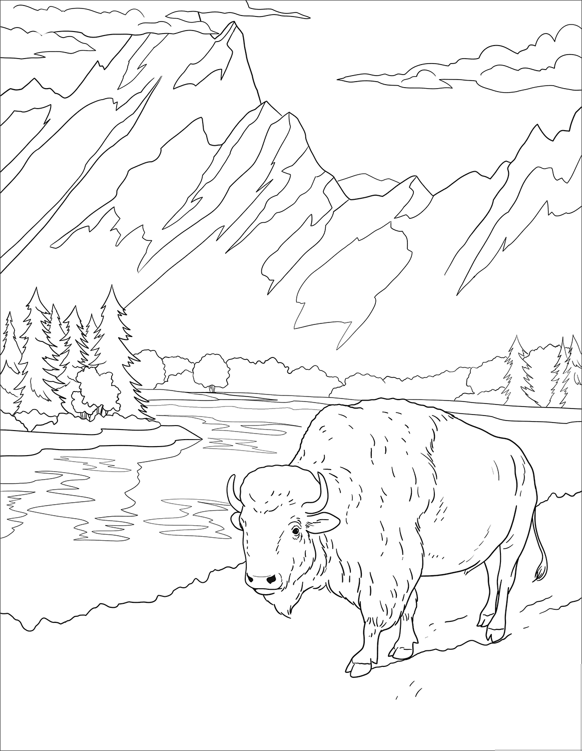 Park Narodowy Grand Teton