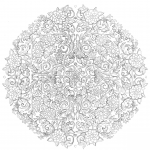 Ostatnie dni w sekretnym ogrodzie...