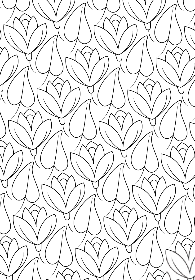 Lily Pattern