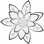 Flower Pattern