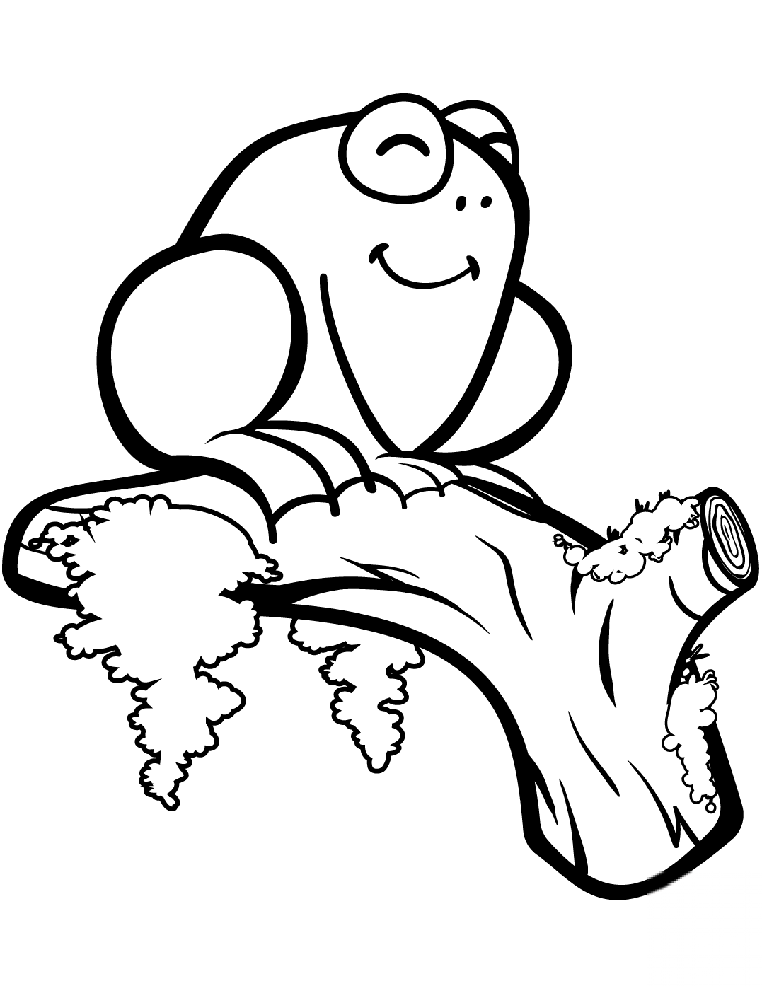 Cute Frog on a Branch