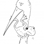 Frog Escaping from Stork Mouth