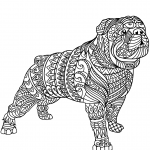Bulldog Zentangle
