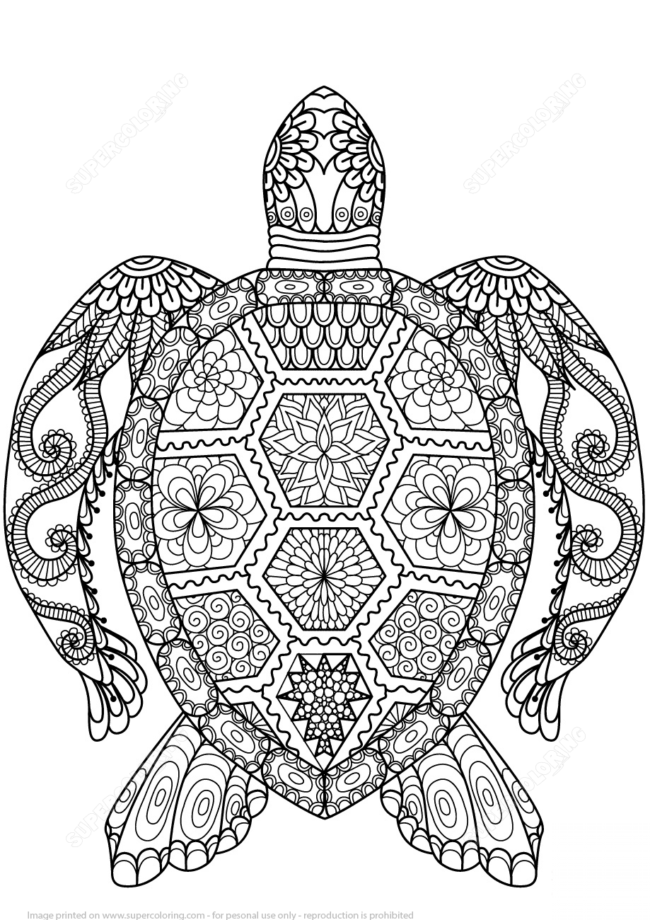 Turtle Zentangle