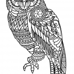 Owl Zentangle