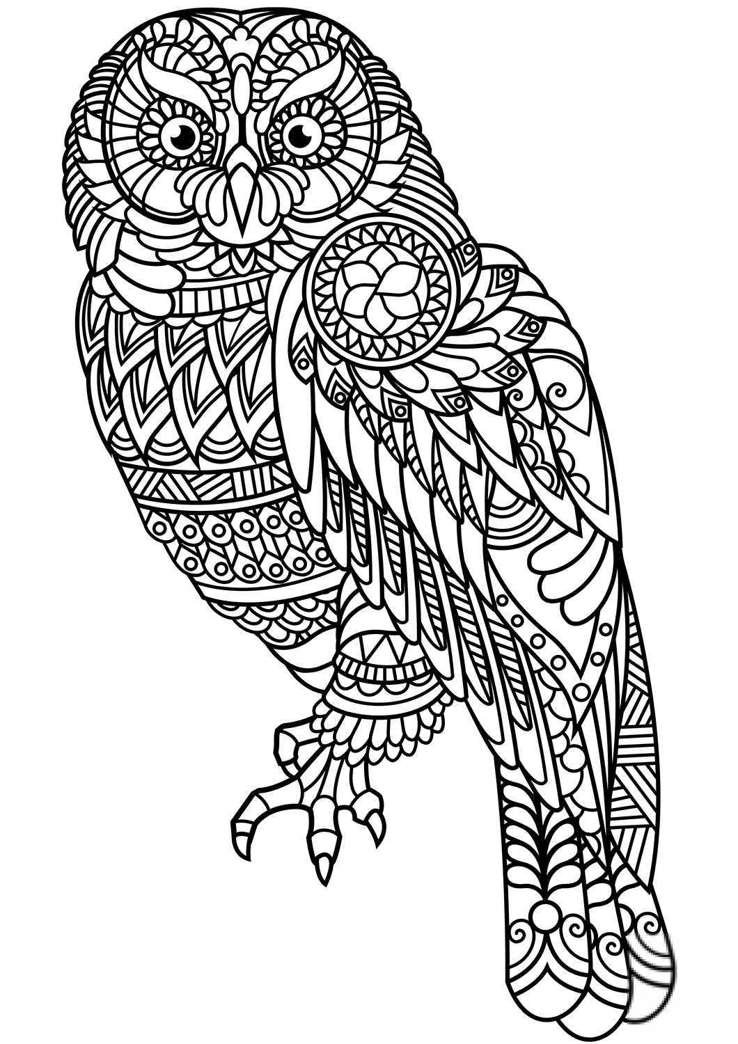 Owl Zentangle