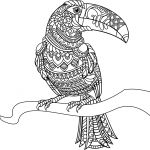 Toucan Zentangle