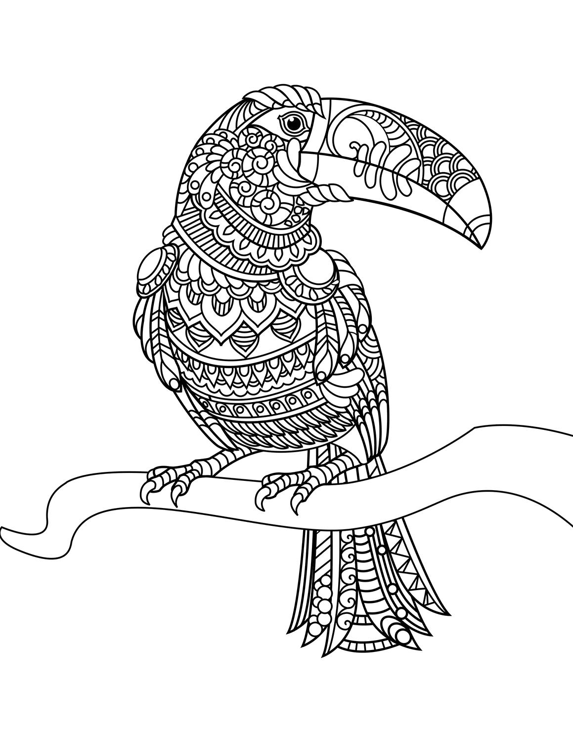 Toucan Zentangle