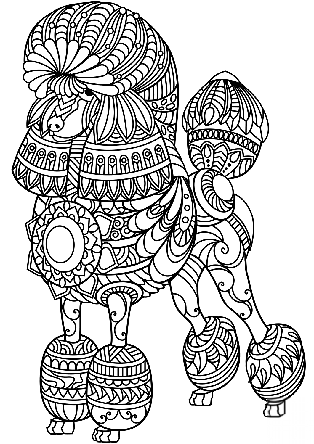 Poodle Zentangle