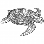 Sea Turtle Zentangle
