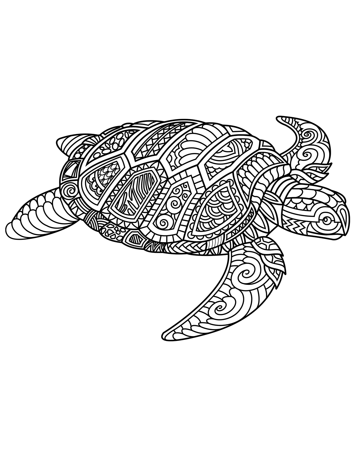 Sea Turtle Zentangle