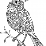 Northern Cardinal Zentangle