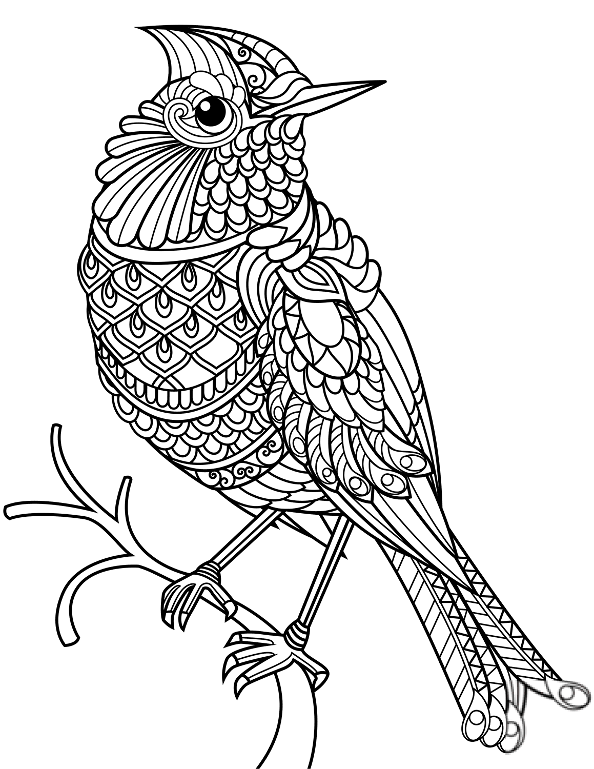Northern Cardinal Zentangle