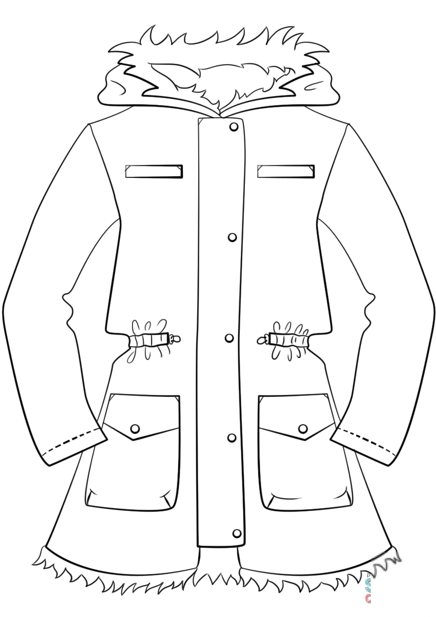 Winter Jacket