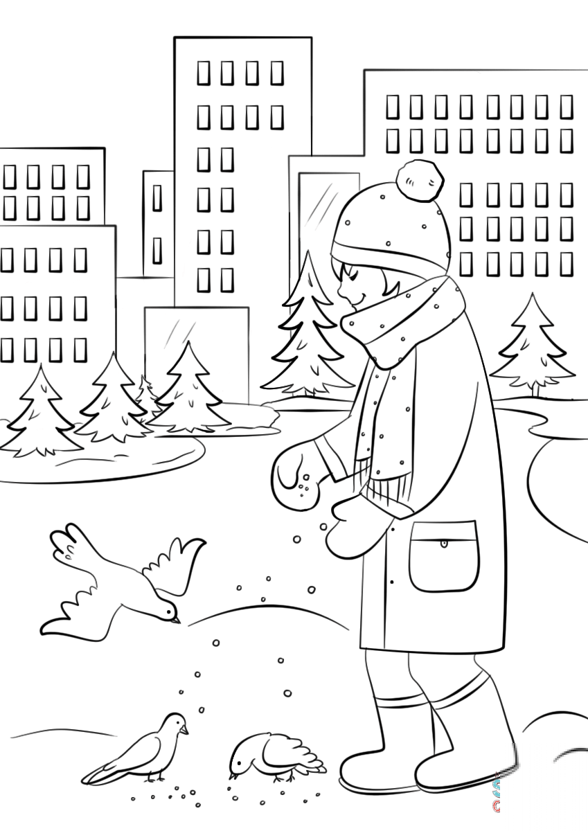 Feeding Birds in Winter