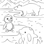 Winter Animals