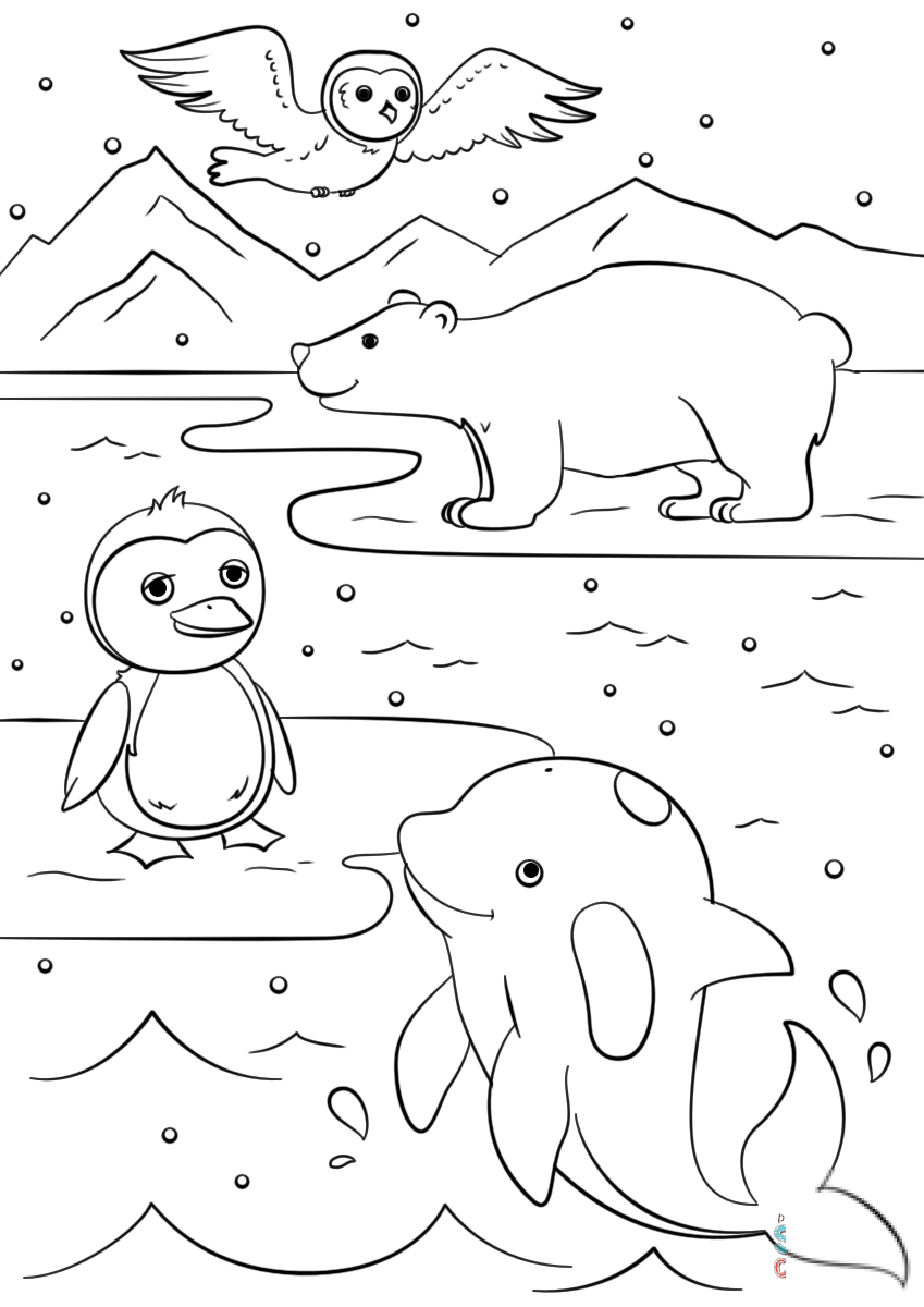 Winter Animals